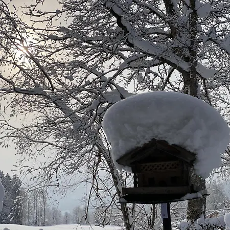 Apartamento Finks Going am Wilden Kaiser