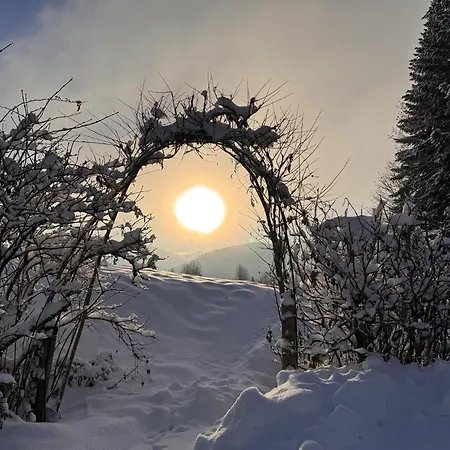 Appartamento Finks *