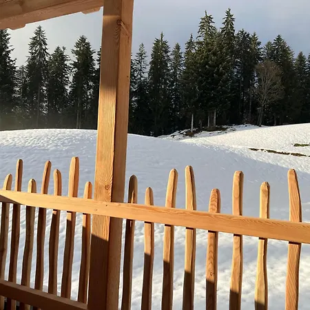 Finks * Going am Wilden Kaiser